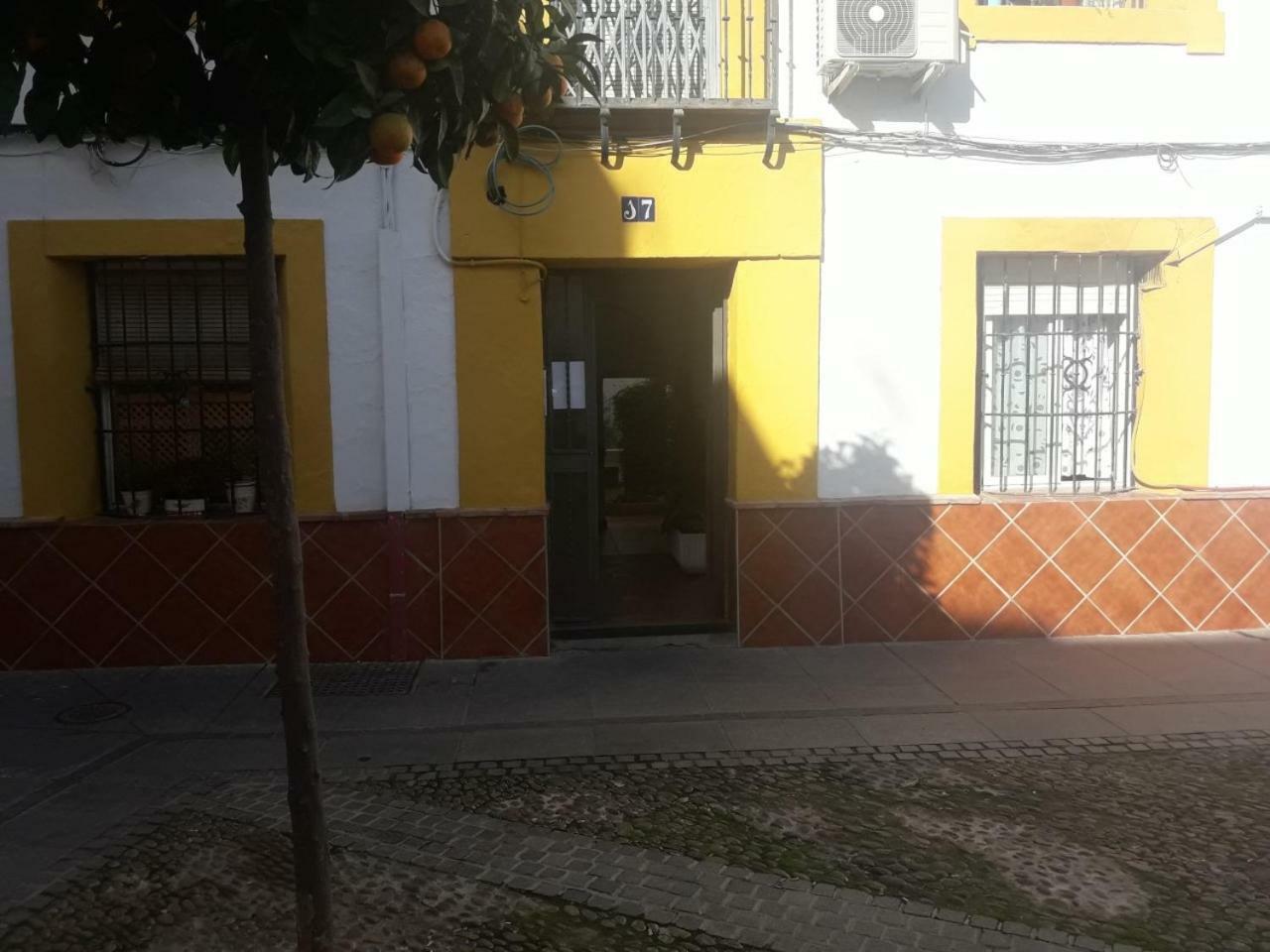 My Small Penthouse With Views.Tourism & Tranquility & Sun Apartment Cordoba Exterior photo